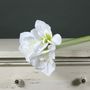 Amaryllis Spray White (60cm)(12/72)