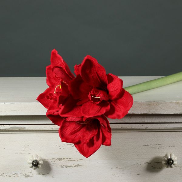 Amaryllis Spray Red (60cm)(12/72)