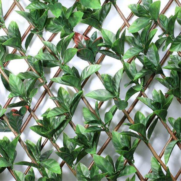 Exterior UV Resistant Photinia Expandable Trellis (1/4)