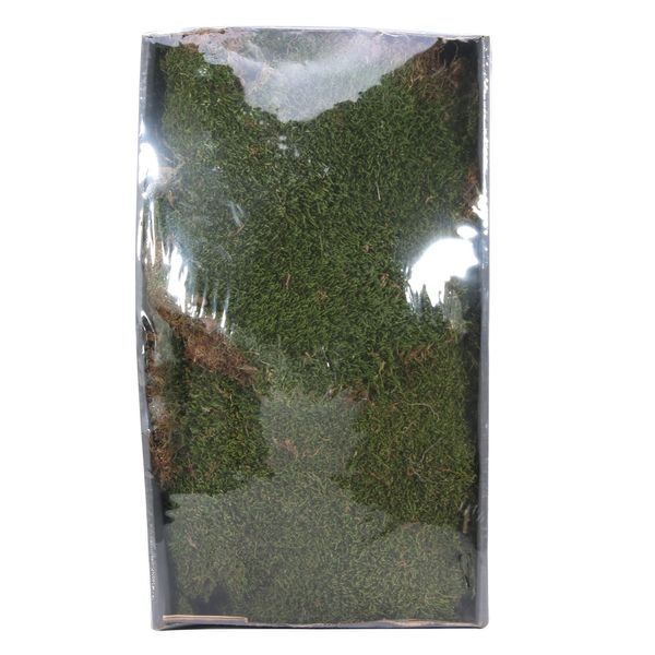 Green Moss w/Tray (Natural) (500gr) (1/6)