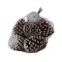 White Tipped Maritima Cones (12pcs) (1/6) 