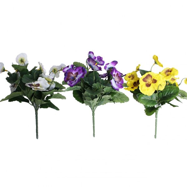 Assorted Pansy Bush x 7