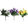 Assorted Pansy Bush x 7