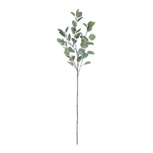 Single Eucalyptus Silver Dollar Stem