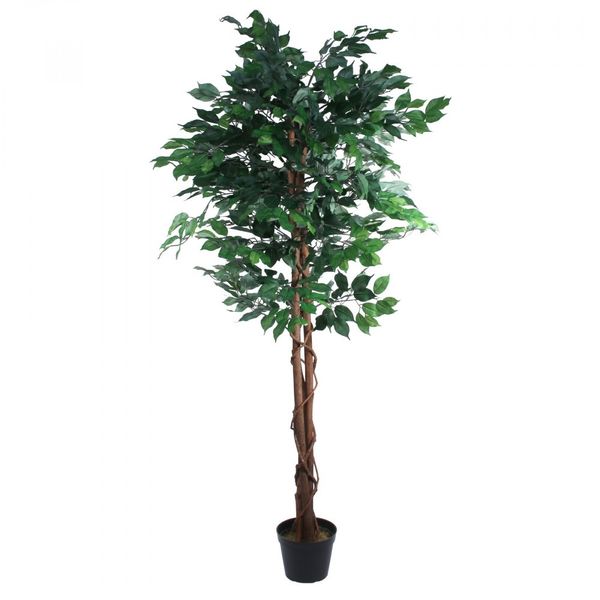 Greenery Ficus Tree (180cm)