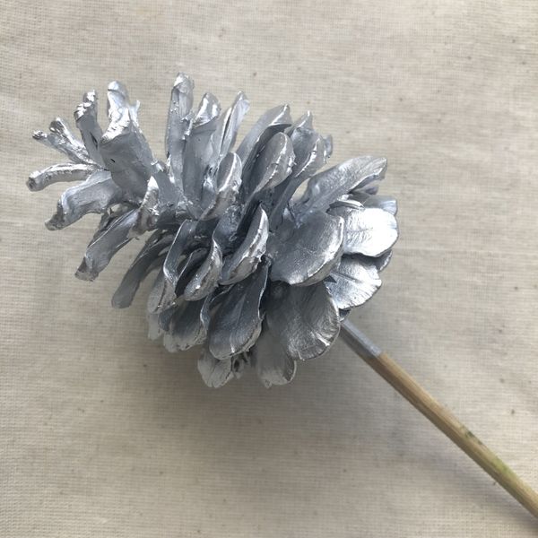 Silver Nigra Cones on 25cm Stem