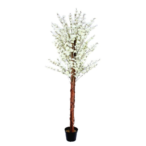 180cm Blossom Tree White
