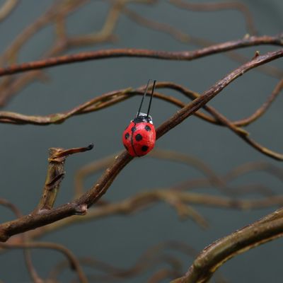 Stick on Ladybirds 1cm (x12)