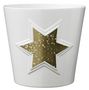 Magic Gold Star Ceramic Pot (14cm)