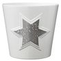 Magic Silver Star Ceramic Pot (14cm)