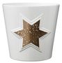 Magic Copper Star Ceramic Pot (14cm)