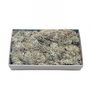 Grey Moss w/Tray (500gr)