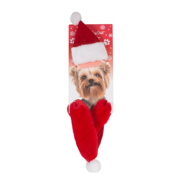 Dog Father Christmas Hat & Scarf