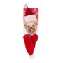 Dog Father Christmas Hat & Scarf