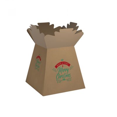 Natural Kraft Traditional Christmas Living Vases (x30)