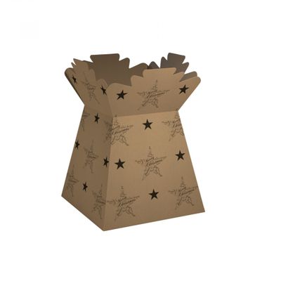 Natural Kraft Seasonal Greetings Living Vases (x30)