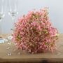 Gypsophila Bouquet Pink