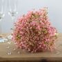 Gypsophila Bouquet Pink