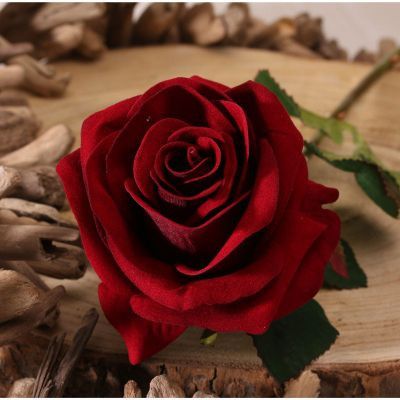 Cheap silk shop roses