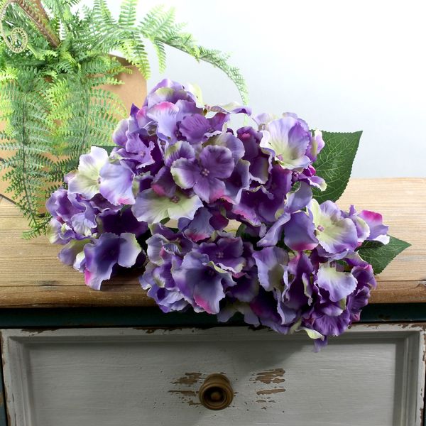 Arundel Hydrangea Bush Purple (12/144)