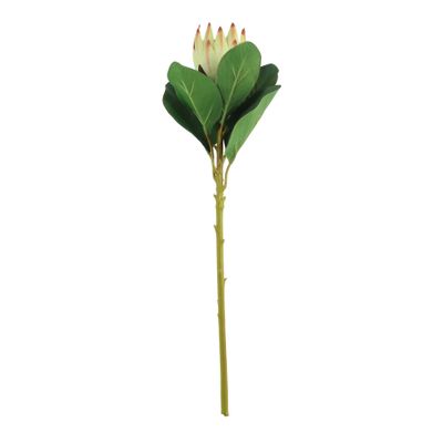 Protea Green (51cm)(12/192)