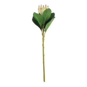 Protea Green (51cm)(12/192)