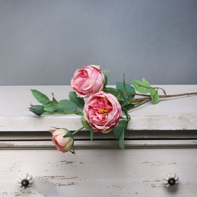 Tintagel Vintage English Rose Spray Pink (24/240)
