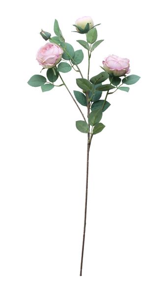 Tintagel Vintage English Rose Spray Lavender (24/240)