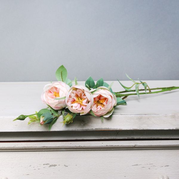 Tintagel Vintage Hedgerow Rose Light Pink (24/240)