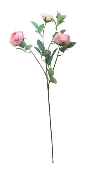 Tintagel Vintage English Rose Spray Pink (24/240)