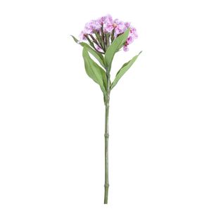 Real Garden Dianthus on Short Stem Purple (32cm)