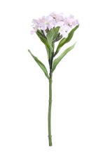Real Garden Dianthus on Short Stem Cream/Pink (32cm)