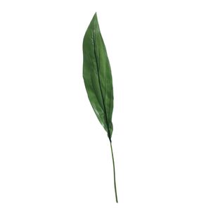 Extra Large Aspidistra Leaf Green (81cm)