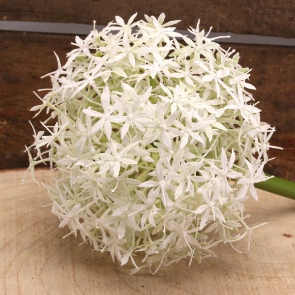 White silk shop flowers wholesale