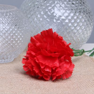 Red per Dozen Carnation