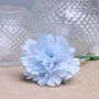 Baby Blue Single Carnations (12 Stems)