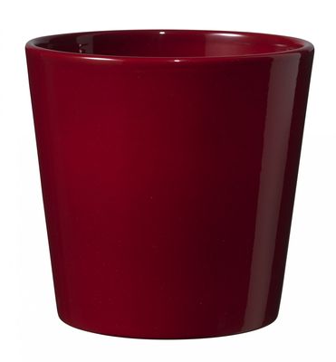 Shiny Bordeaux Dallas Pot