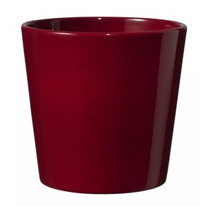 Shiny Bordeaux Dallas Pot