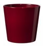Shiny Bordeaux Dallas Pot