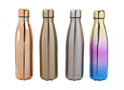 Stainless Steel Drinking Bottle