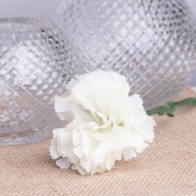 Ivory per Dozen Carnation 