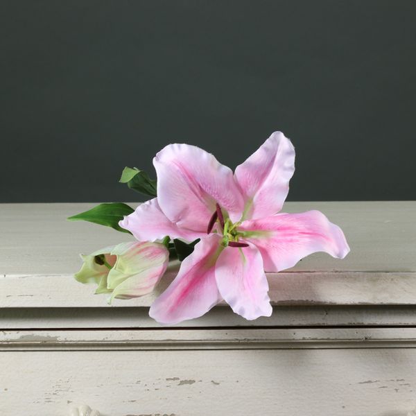 Tintagel Lily Light Pink (12/144)