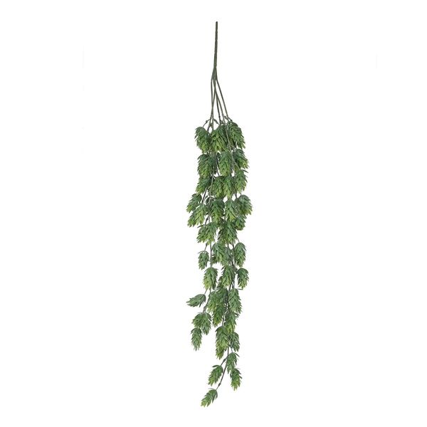 Botanica 76cm Hop Hanging Bush