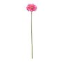 Single Gerbera Beauty - 72cm