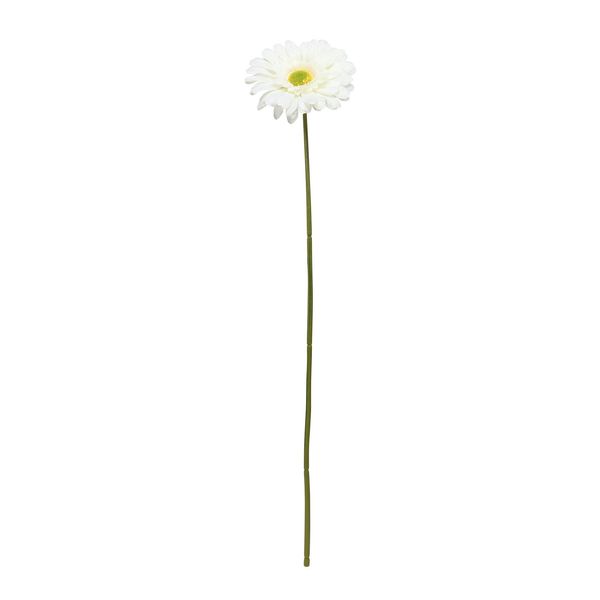 Single Gerbera Cream - 72cm