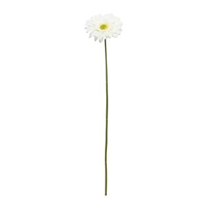 Single Gerbera Cream - 72cm