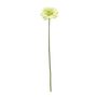 Single Gerbera Green - 72cm