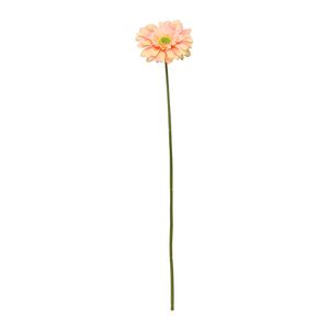 Single Gerbera Peach - 72cm