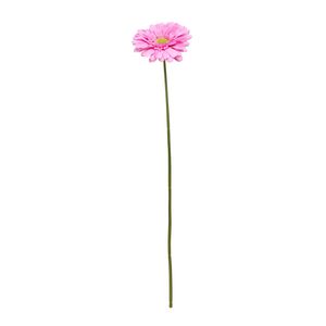 Single Gerbera Purple - 72cm