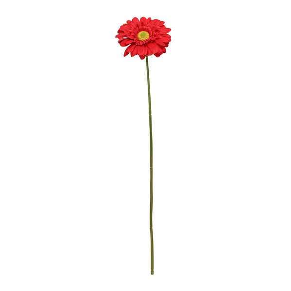 Single Gerbera Red - 72cm